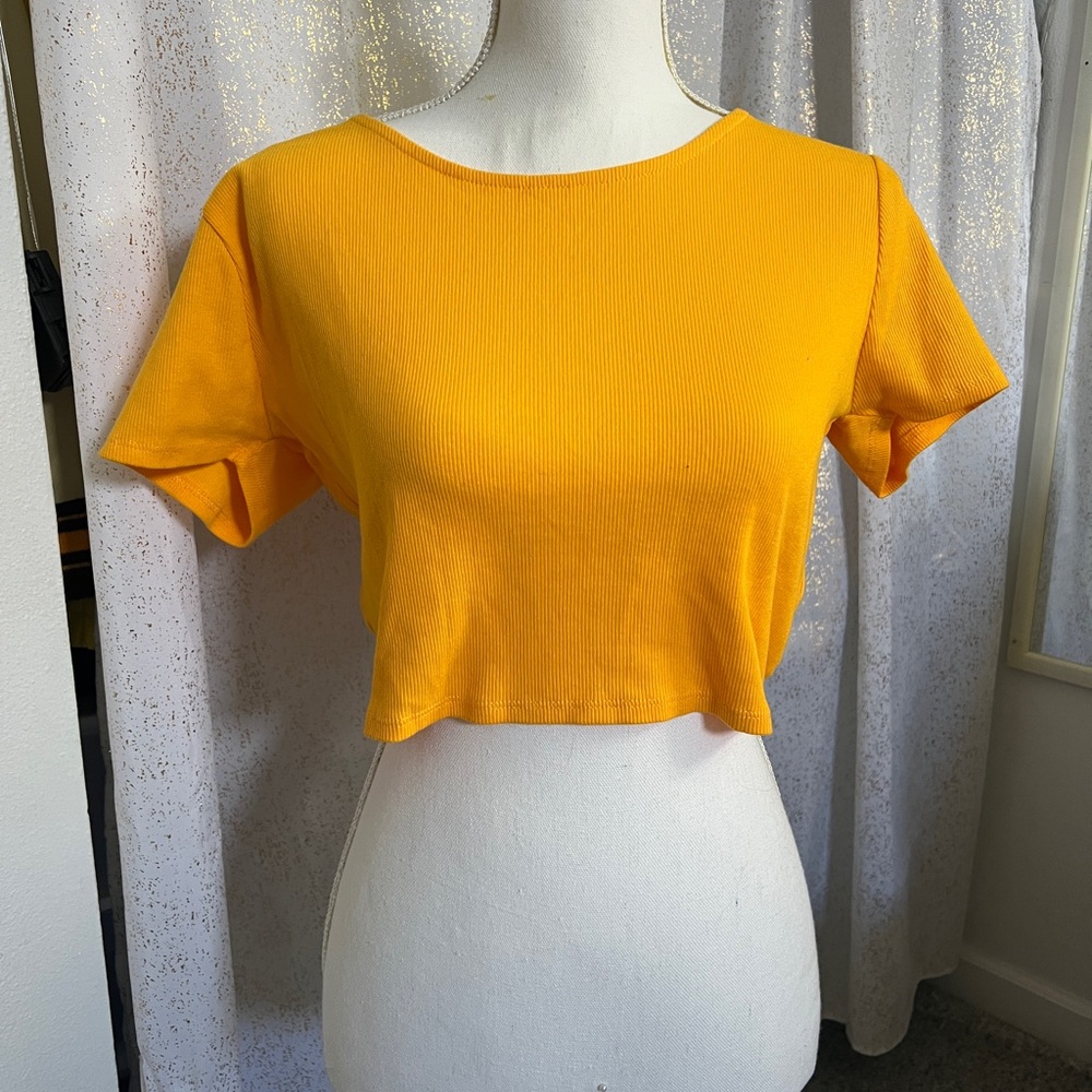 Wild Fable Crop Top